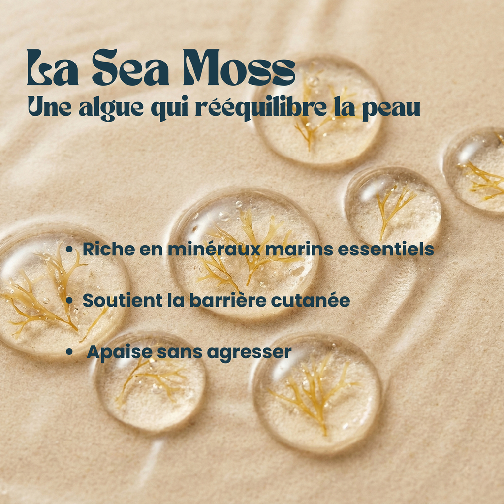 Sérum Marin Infusé à la Sea Moss
